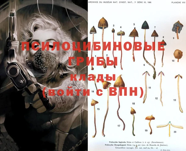 амф Абинск