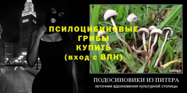 амф Абинск